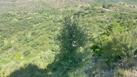 Comprar parcela en Los Reales - Sierra Estepona