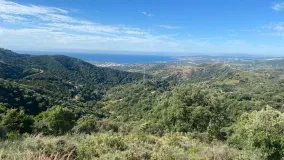 Comprar parcela en Los Reales - Sierra Estepona