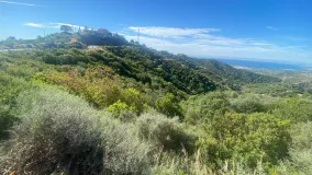 Comprar parcela en Los Reales - Sierra Estepona
