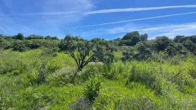 Guadalobon, parcela a la venta