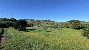 For sale Arroyo de las Cañas 6 bedrooms country house