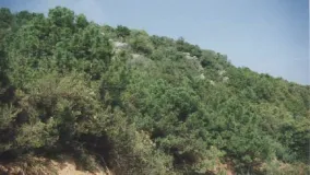 Plot in El Velerin for sale