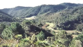 Plot in El Velerin for sale