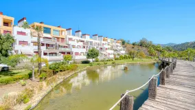 3 bedrooms penthouse for sale in Parque Botanico