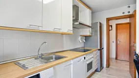 3 bedrooms penthouse for sale in Parque Botanico