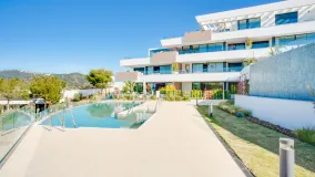 Ground floor apartment for sale in Artola