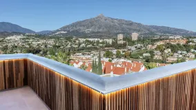 2 bedrooms penthouse for sale in Jardines de Andalucia