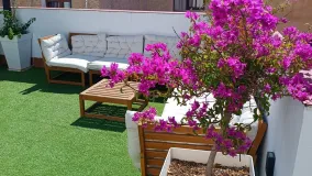 Buy unique building in Malaga