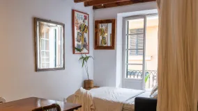 Se vende estudio con 1 dormitorio en Casco Antiguo