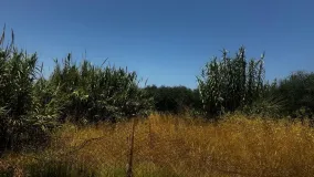 Plot for sale in La Linea de la Concepcion