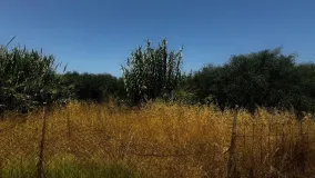 Plot for sale in La Linea de la Concepcion