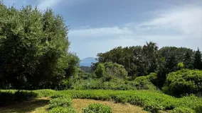 Buy El Cuartón residential plot