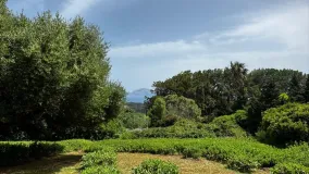 Buy El Cuartón residential plot