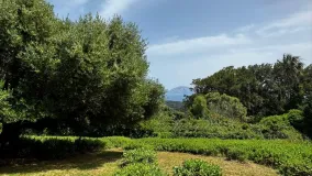 Buy El Cuartón residential plot