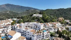 1 bedroom apartment in Benahavis Centro for sale