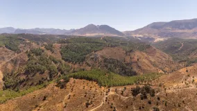 Plot for sale in Antequera