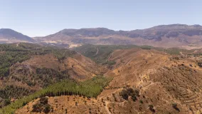 Plot for sale in Antequera