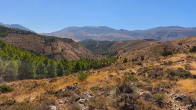 Plot for sale in Antequera