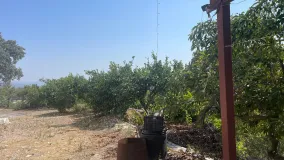 Finca in Coin for sale