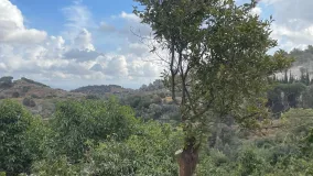 Finca in Coin for sale