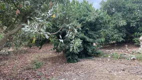 Finca in Coin for sale