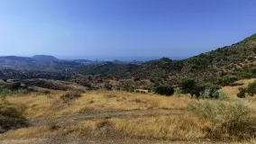 Comprar parcela en Pinares de San Antón