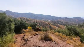 Comprar parcela en Pinares de San Antón