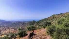 Comprar parcela en Pinares de San Antón