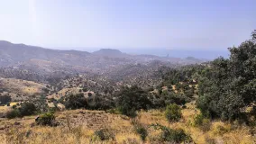 Comprar parcela en Pinares de San Antón