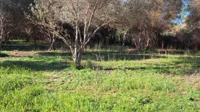 For sale plot in Cartama