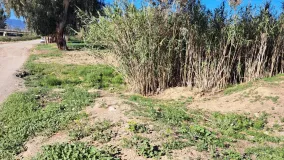 For sale plot in Cartama