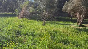 For sale plot in Cartama