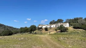 Castellar de la Frontera finca for sale