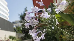 2 bedrooms ground floor apartment for sale in Palma de Mallorca