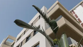 2 bedrooms ground floor apartment for sale in Palma de Mallorca