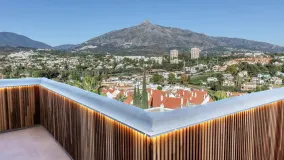 Nueva Andalucia 2 bedrooms penthouse for sale