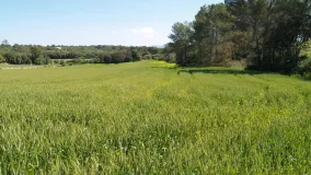 Santa Margalida plot for sale