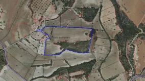 Santa Margalida plot for sale