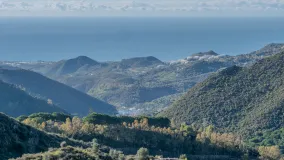 For sale plot in Ojen