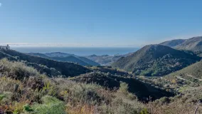 For sale plot in Ojen