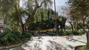 Buy apartment with 3 bedrooms in Las Lagunas