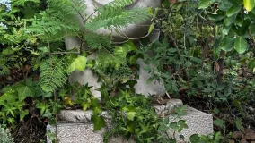 Selwo, villa en venta