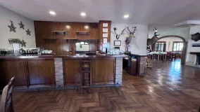 Restaurant for sale in Malaga - Ciudad Jardín