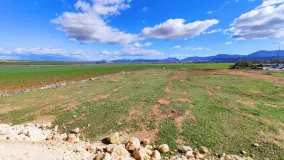 Plot for sale in Mollina