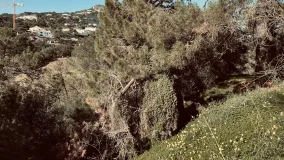 Parcela a la venta en Marbella Club Golf Resort