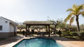 Buy Alhaurin el Grande house