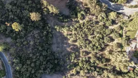 Parcela a la venta en Puerto del Almendro