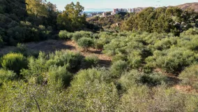 Parcela a la venta en Puerto del Almendro