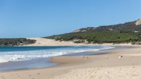 Parcela a la venta en Bolonia