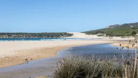 Parcela a la venta en Bolonia